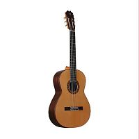 PRUDENCIO SAEZ 138 (5-PS) Cedar Top High End Model