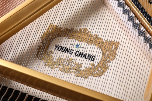 Young Chang YC186E фото 8