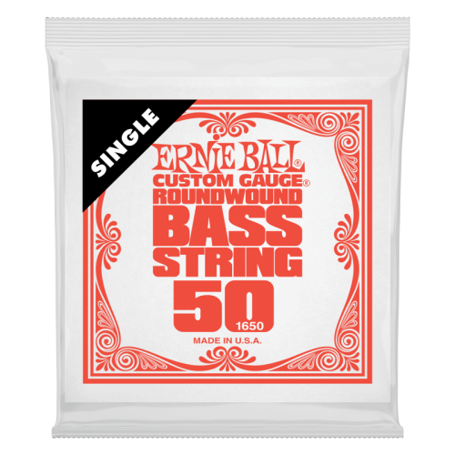 ERNIE BALL P01650